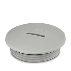 Śruba A-INSP-PG29-65N-P-LG