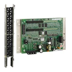 BCPMSCCT1