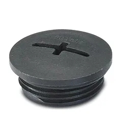 Śruba A-INSP-M32-65N-P-BK