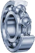 16009 2RS P6