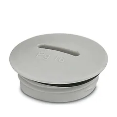 Śruba A-INSP-PG21-65N-P-LG