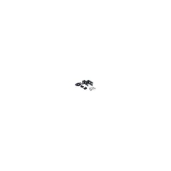 AR7711