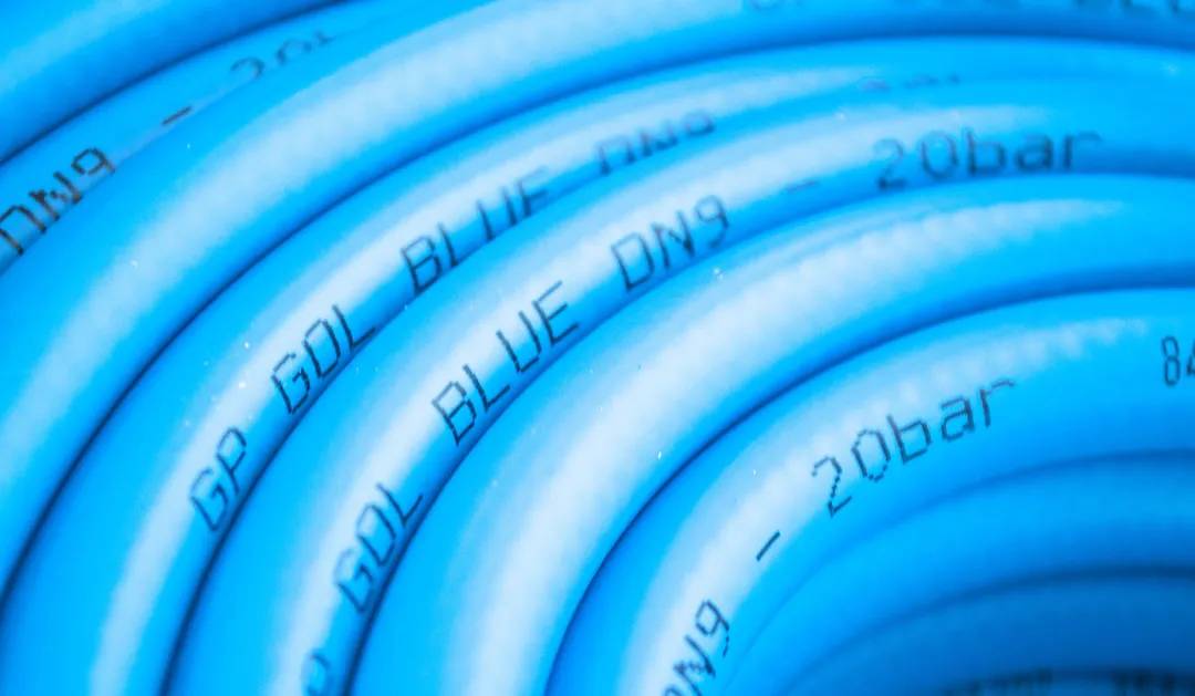 Wąż GOL BLUE 6