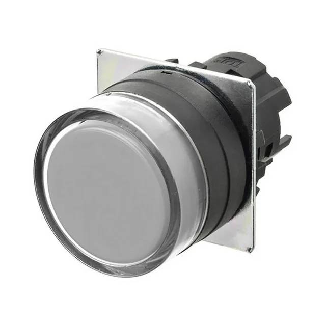 Przycisk A22NZ-BGA-NWA