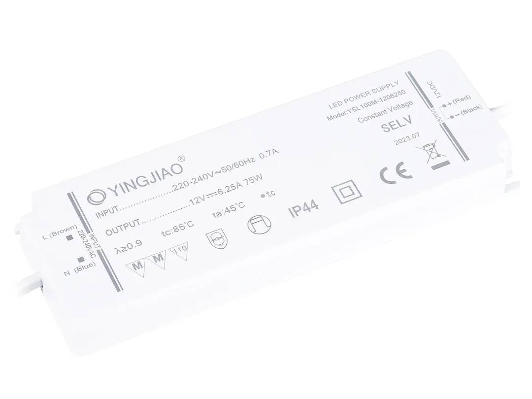 Zasilacz YSL100M-1206250