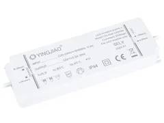 Zasilacz YSL50M-1202500