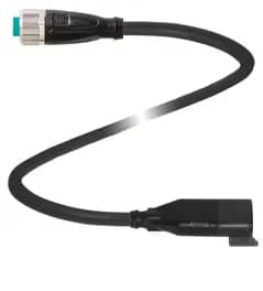 Kabel V11-G-BK0,15M-PUR-O1-DT3P-G